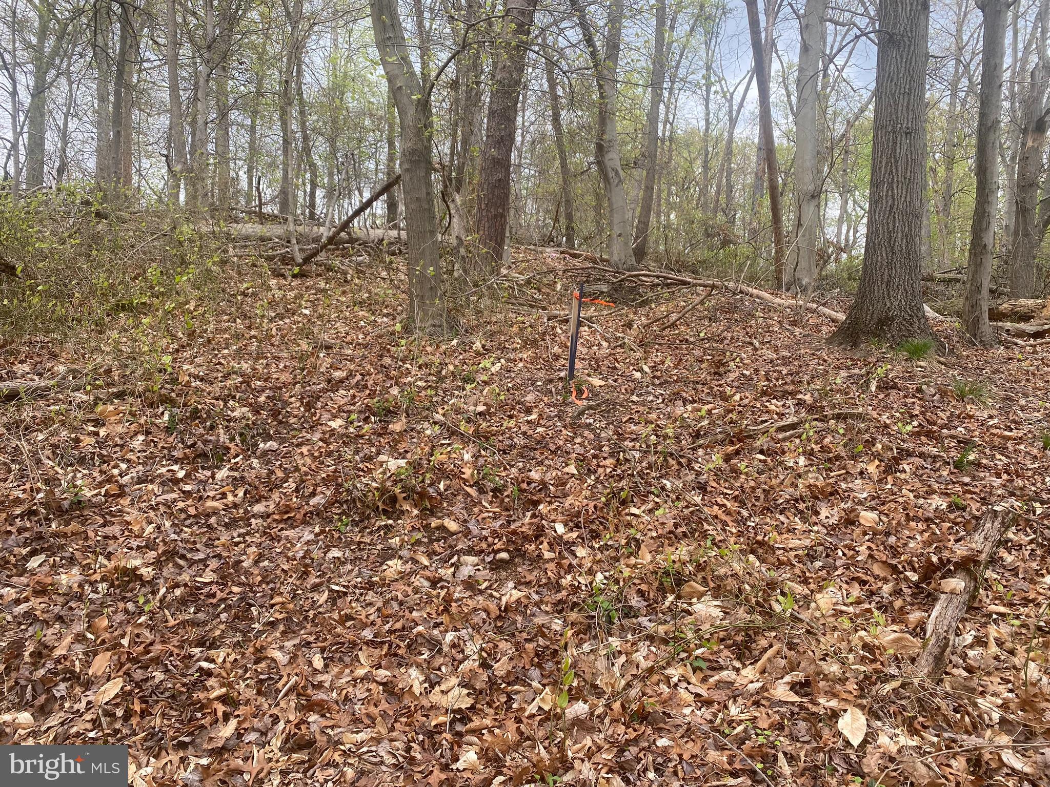 0 Owens Road Oxon Hill, MD 20745 - Photo 8 of 12