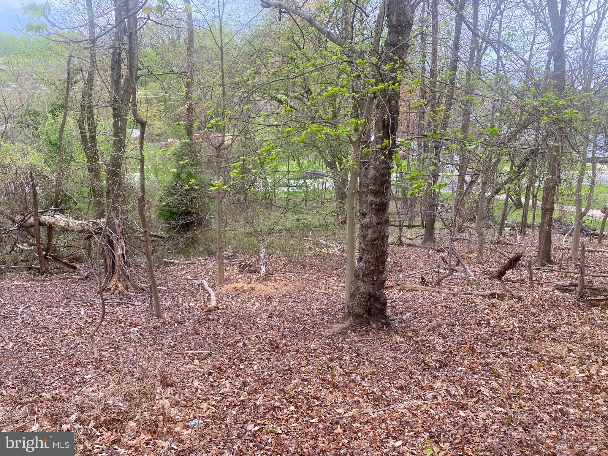 0 Owens Road Oxon Hill, MD 20745 - Photo 9 of 12