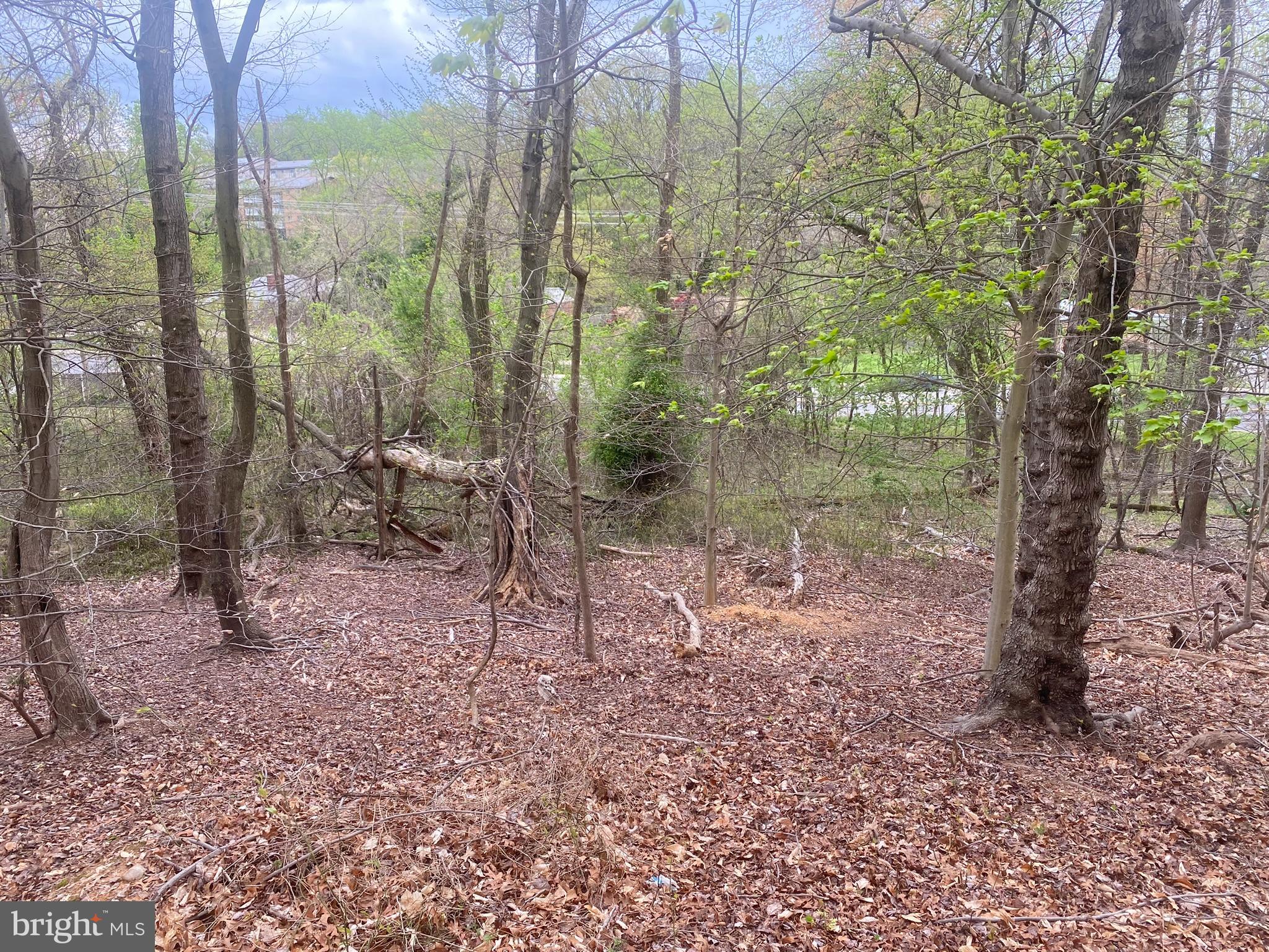 0 Owens Road Oxon Hill, MD 20745 - Photo 10 of 12