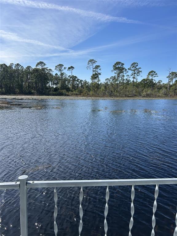 79 Eagle Point South Osteen, FL 32764 - Photo 5 of 21