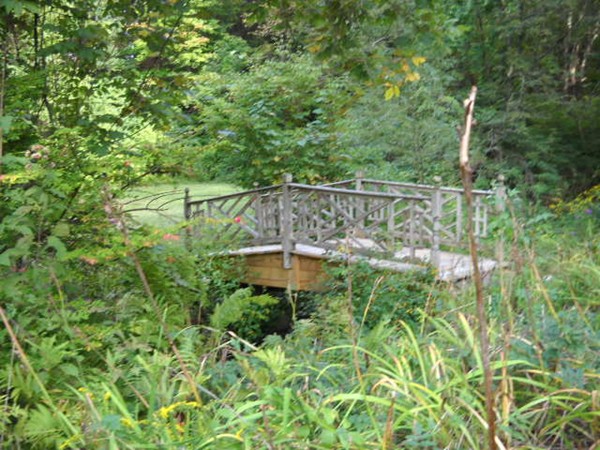123 S Road Hampden, MA 01036 - Photo 7 of 28 a view of a balcony with plants and large trees