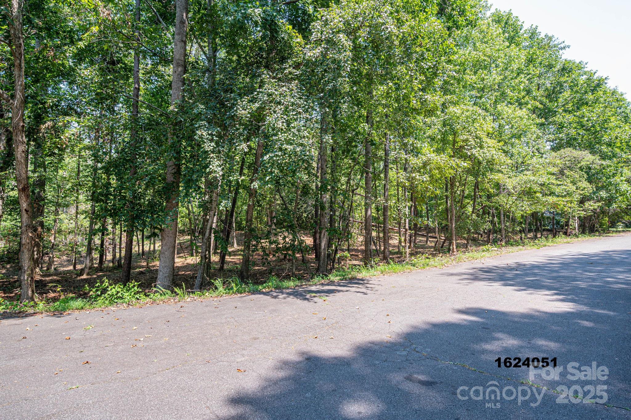 Lot 5 Annapolis Court Rutherfordton, NC 28139 - Photo 10 of 27