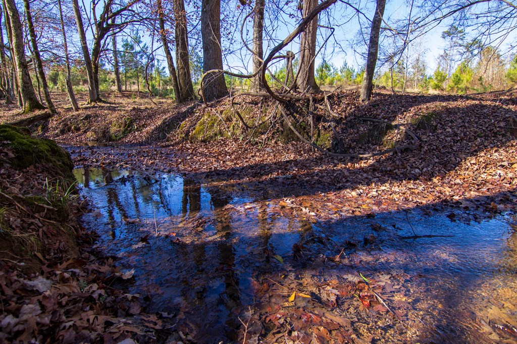 5-0 Chestnut Grove Road Shiloh, GA 31826 - Photo 23 of 32 a view of a house with a yard