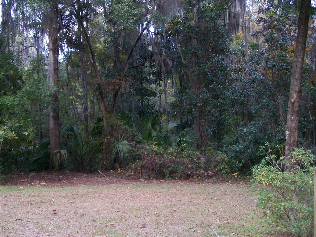 0 Northwest 17th Court Road Ocala, FL 34475 - Photo 1 of 1 Devon 050