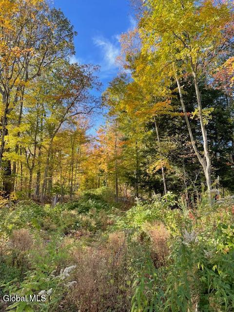 L11 Gates Road Eagle Bridge, NY 12057 - Photo 5 of 5 vacant land