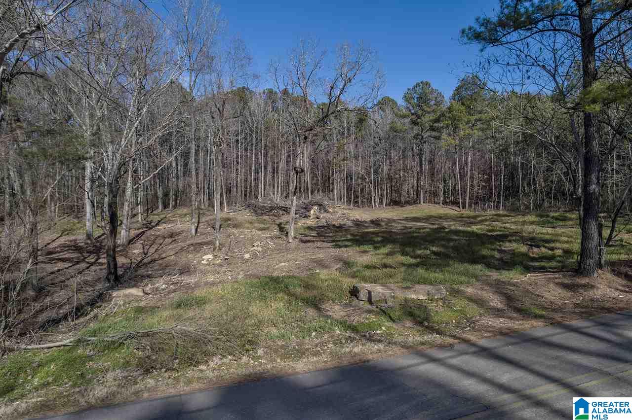 4491 Jim Tate Road Dora, AL 35062 - Photo 1 of 15
