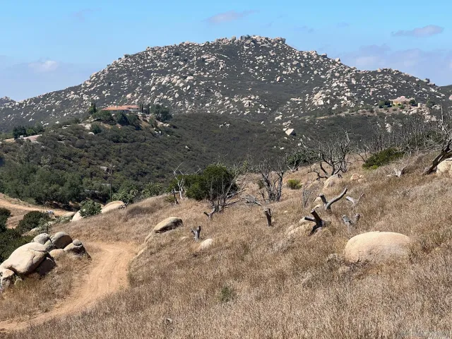 a view of a dry yard with trees