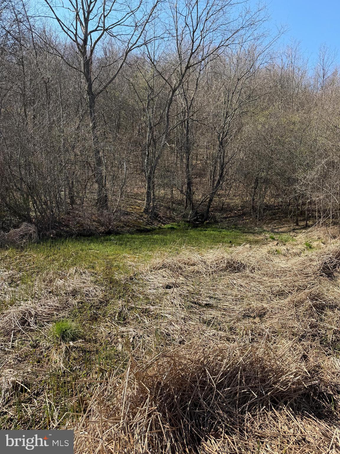 129-acres Black Hollow Road Schellsburg, PA 15559 - Photo 67 of 72 a view of a yard
