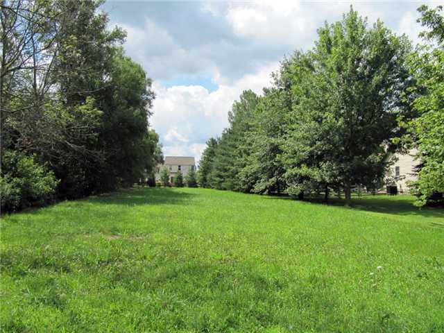 0 Cheshire Road Delaware, OH 43015 - Photo 1 of 1