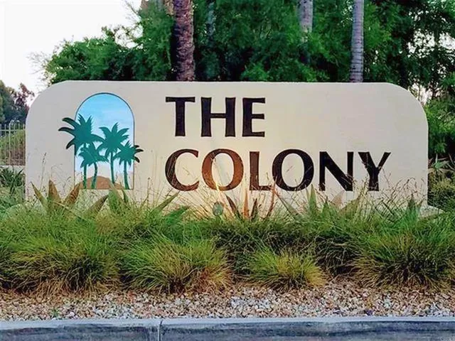 a view of a park with large trees