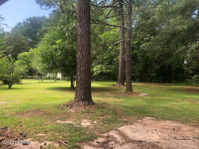 144 Bynum Road Rockingham, NC 28379 - Photo 15 of 15 IMG_4572