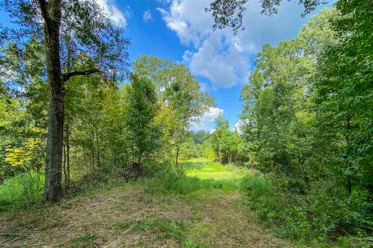5047 Johnson Line Road Bolton, MS 39041 - Photo 24 of 50 Photo 24