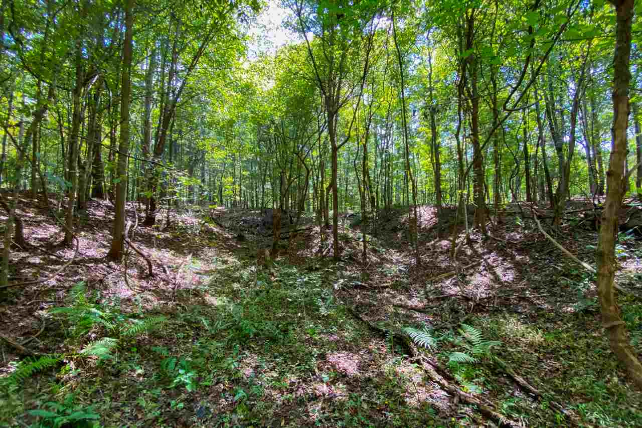 5047 Johnson Line Road Bolton, MS 39041 - Photo 31 of 50 Photo 31