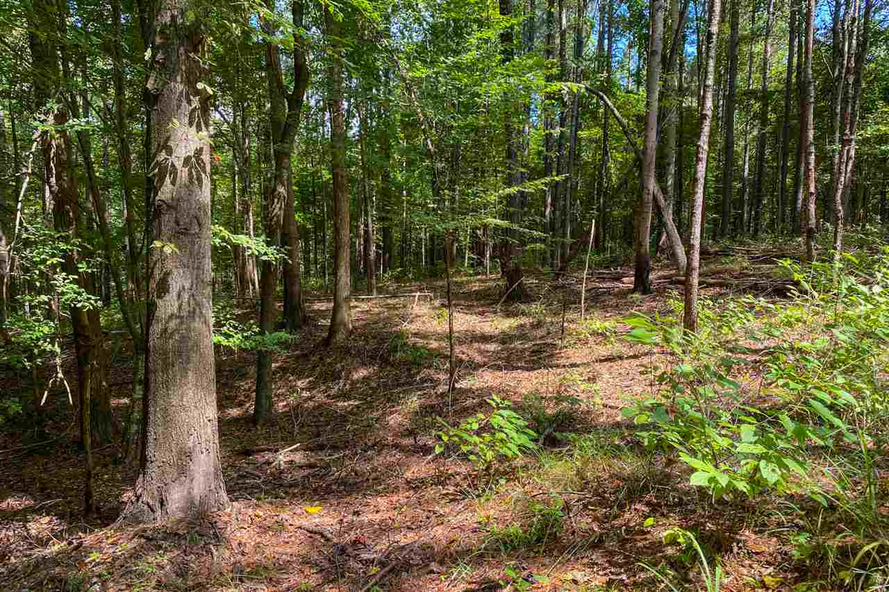 5047 Johnson Line Road Bolton, MS 39041 - Photo 33 of 50 Photo 33