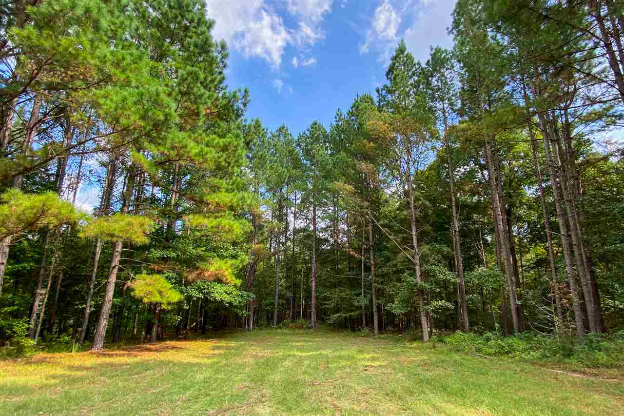 5047 Johnson Line Road Bolton, MS 39041 - Photo 44 of 50 Photo 44