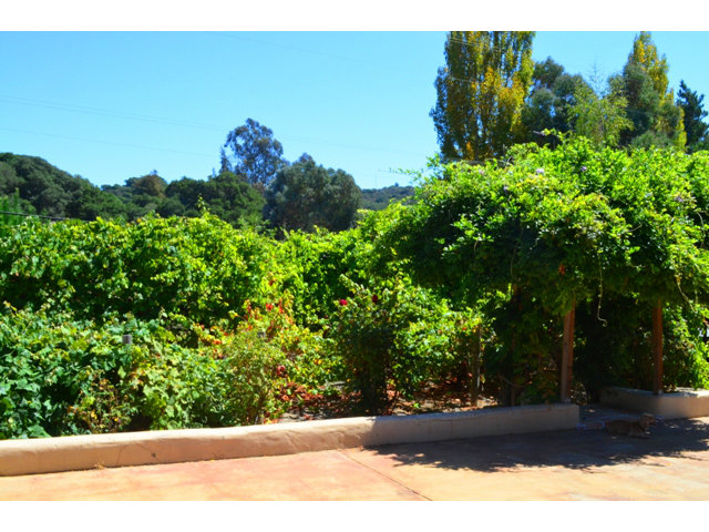 7474 Tustin Road Prunedale, CA 93907 - Photo 21 of 25 Gallery Image 21