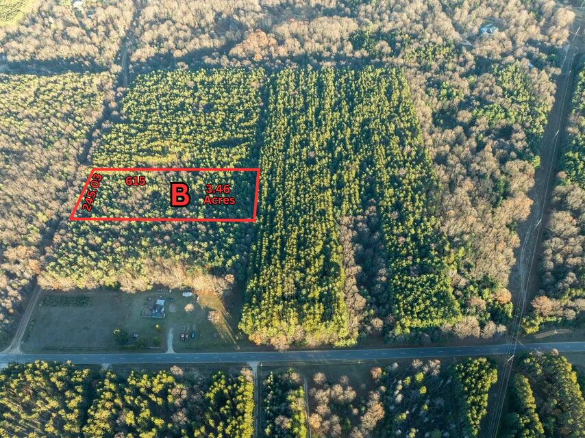 Parcel B West Scout Road Mears, MI 49436 - Photo 1 of 5 Parcel B (2)