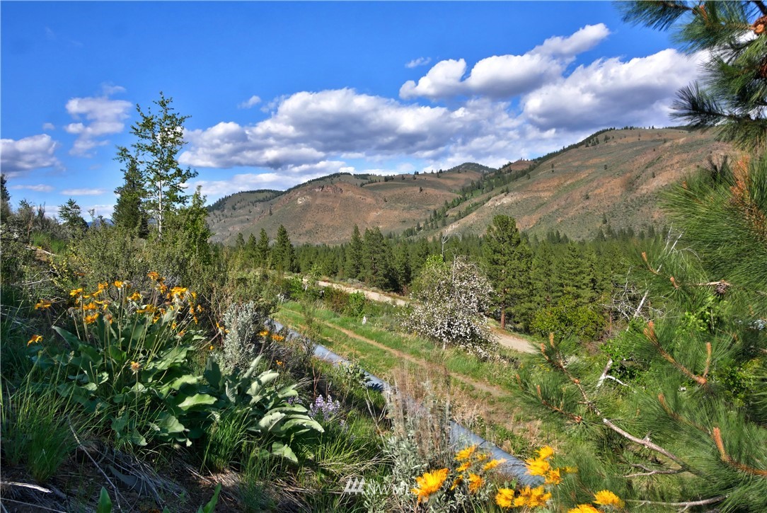 3 Williams Road Winthrop, WA 98862 - Photo 1 of 27 Gallery Image 1