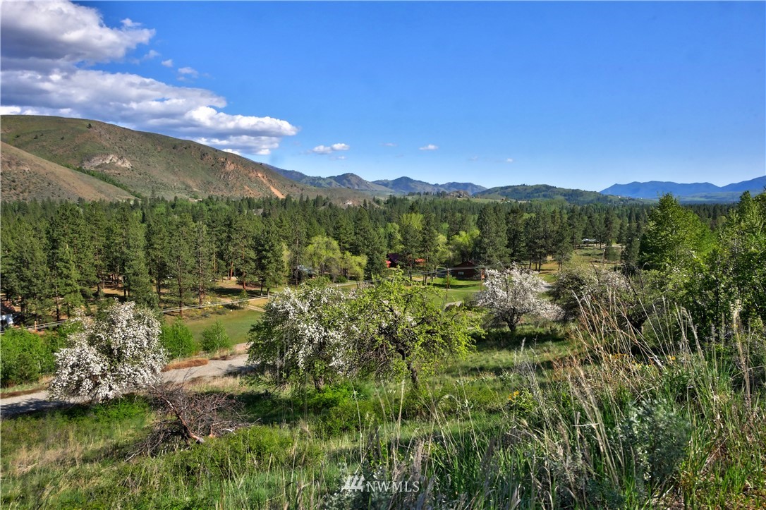 3 Williams Road Winthrop, WA 98862 - Photo 2 of 27 Gallery Image 2