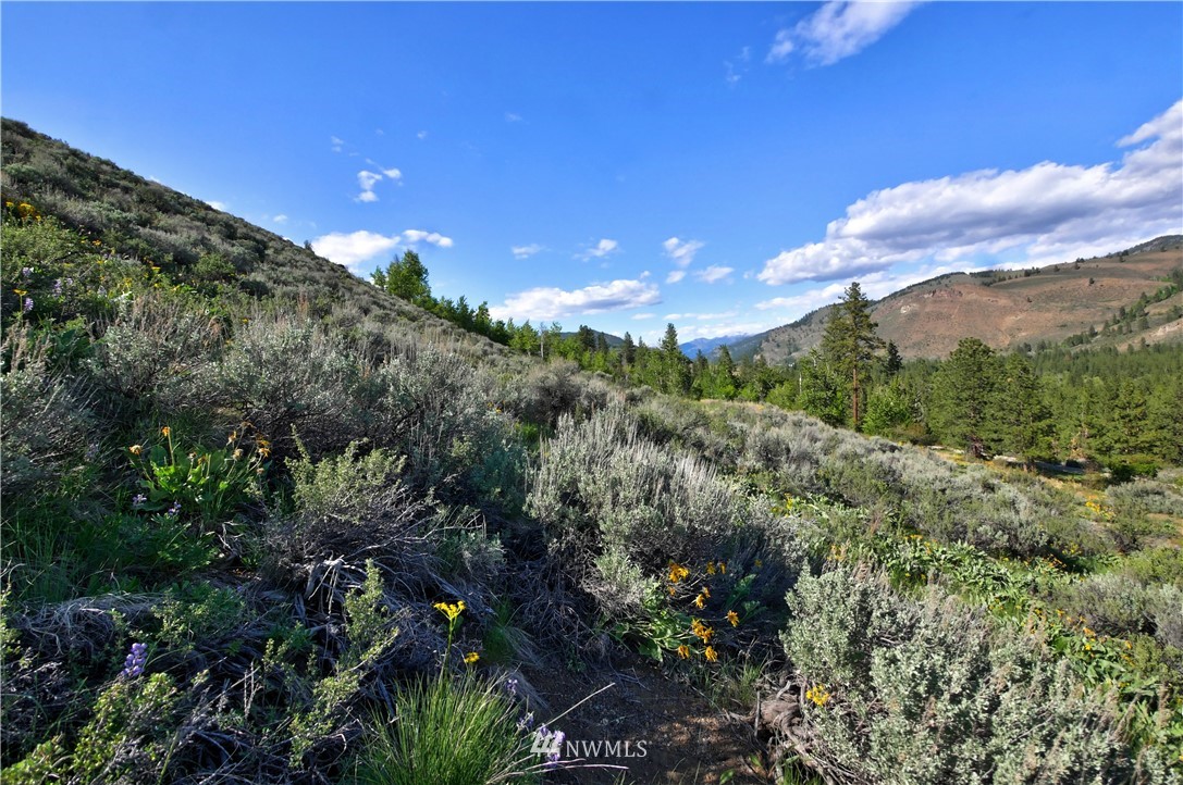 3 Williams Road Winthrop, WA 98862 - Photo 12 of 27 Gallery Image 12