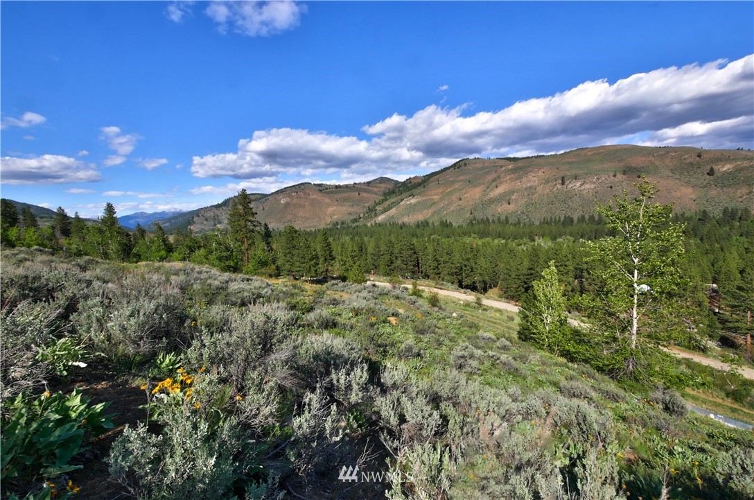 3 Williams Road Winthrop, WA 98862 - Photo 13 of 27 Gallery Image 13