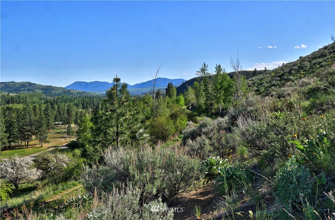 3 Williams Road Winthrop, WA 98862 - Photo 17 of 27 Gallery Image 17