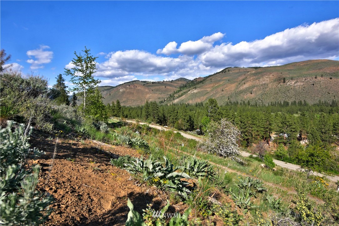 3 Williams Road Winthrop, WA 98862 - Photo 18 of 27 Gallery Image 18