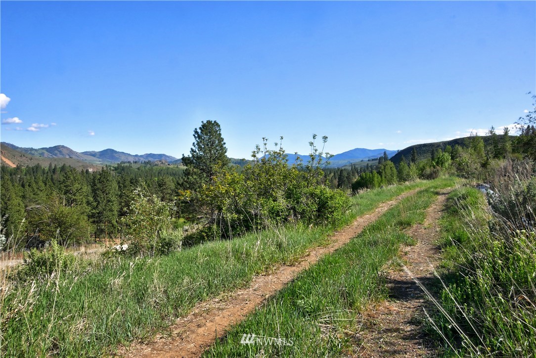 3 Williams Road Winthrop, WA 98862 - Photo 4 of 27 Gallery Image 4