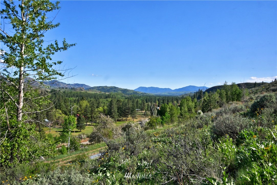 3 Williams Road Winthrop, WA 98862 - Photo 7 of 27 Gallery Image 7
