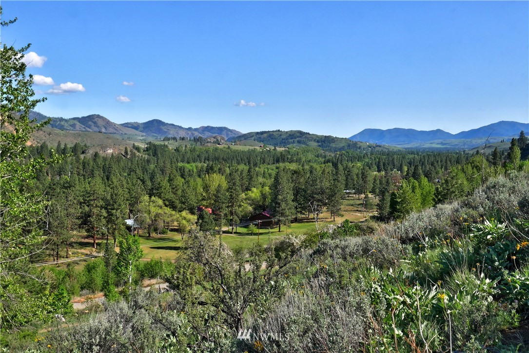 3 Williams Road Winthrop, WA 98862 - Photo 9 of 27 Gallery Image 9