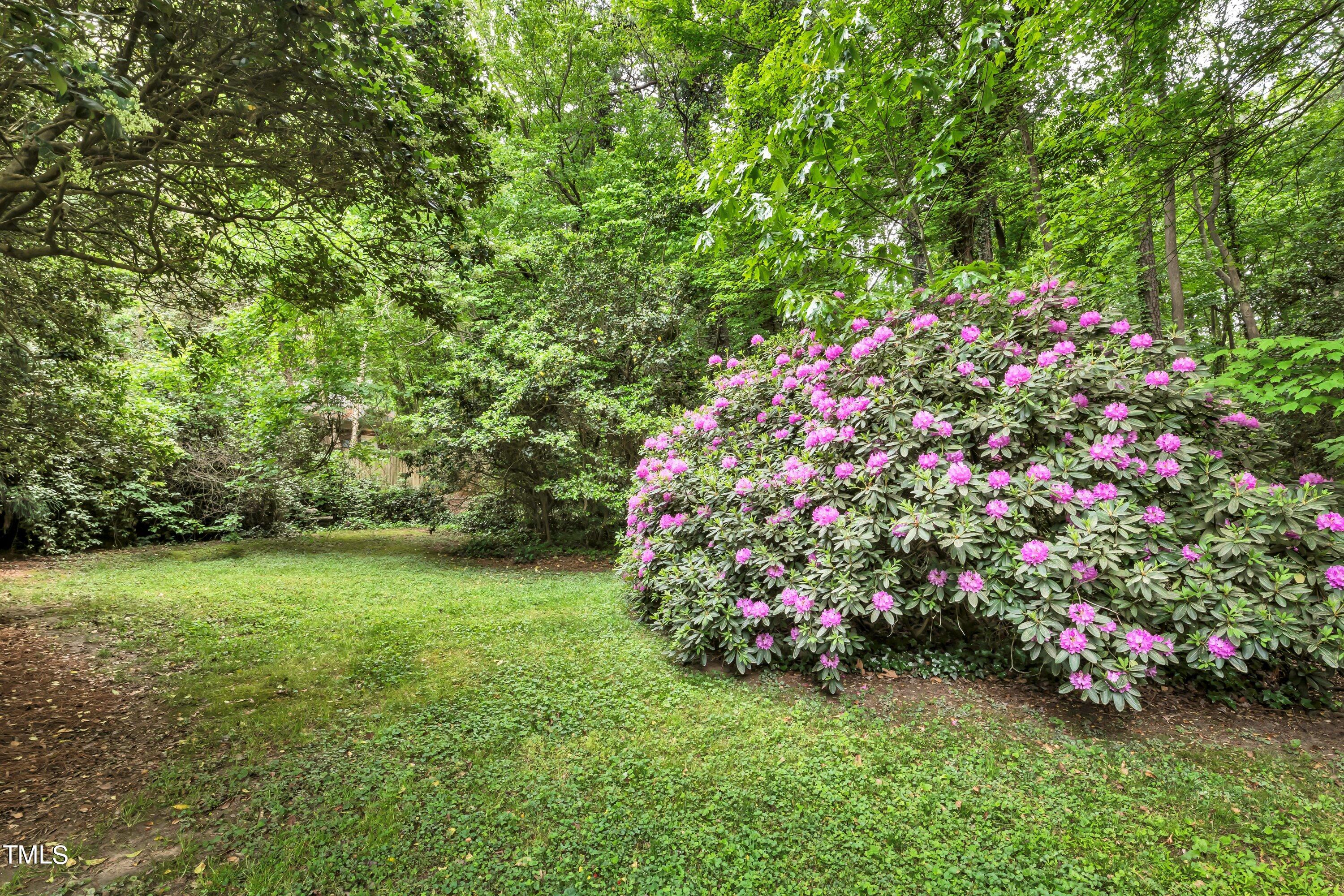 5309 Woodsdale Road Raleigh, NC 27606 - Photo 54 of 61 12-IMG_0729