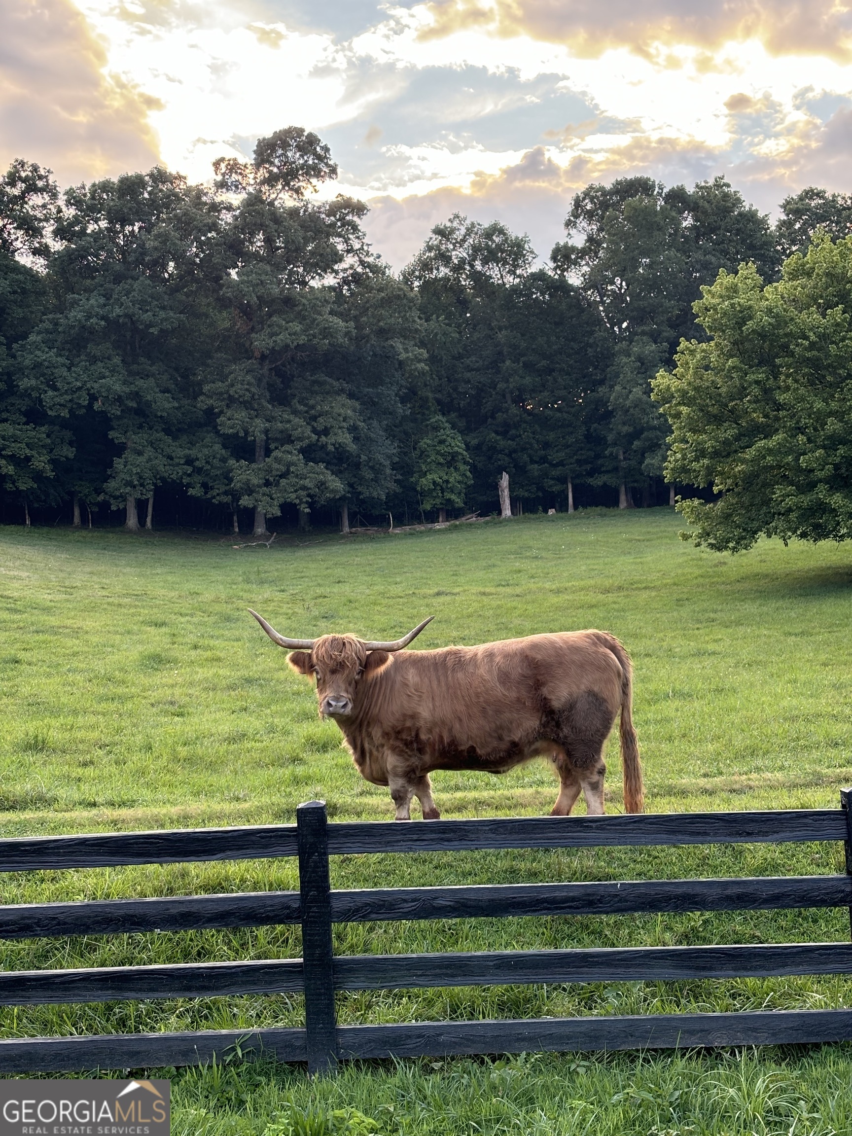 1019 Hardscrabble Road Mineral Bluff, GA 30559 - Photo 50 of 52 a view of a wooden deck and a yard