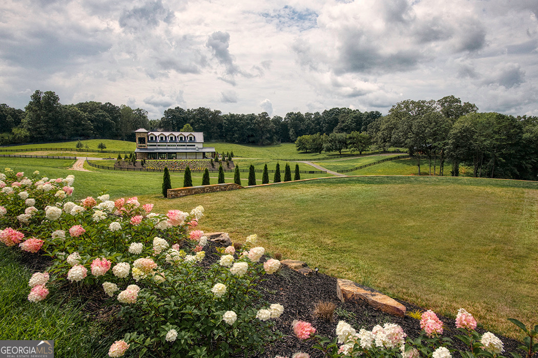 1019 Hardscrabble Road Mineral Bluff, GA 30559 - Photo 51 of 52 a view of a lake with a house in the background