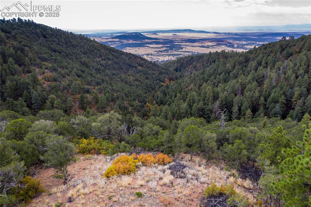 15825 Henry Ride Heights Colorado Springs, CO 80926 - Photo 11 of 23 a view of a forest with a mountain