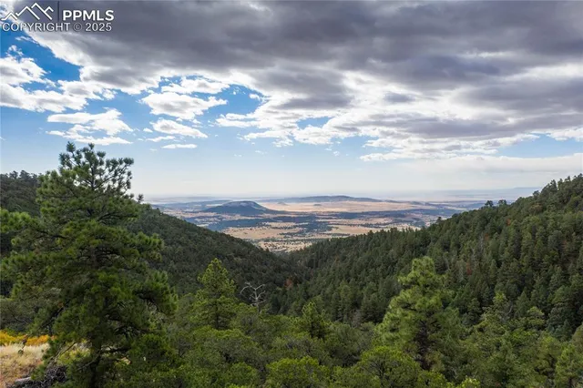 a view of a city with lush green forest