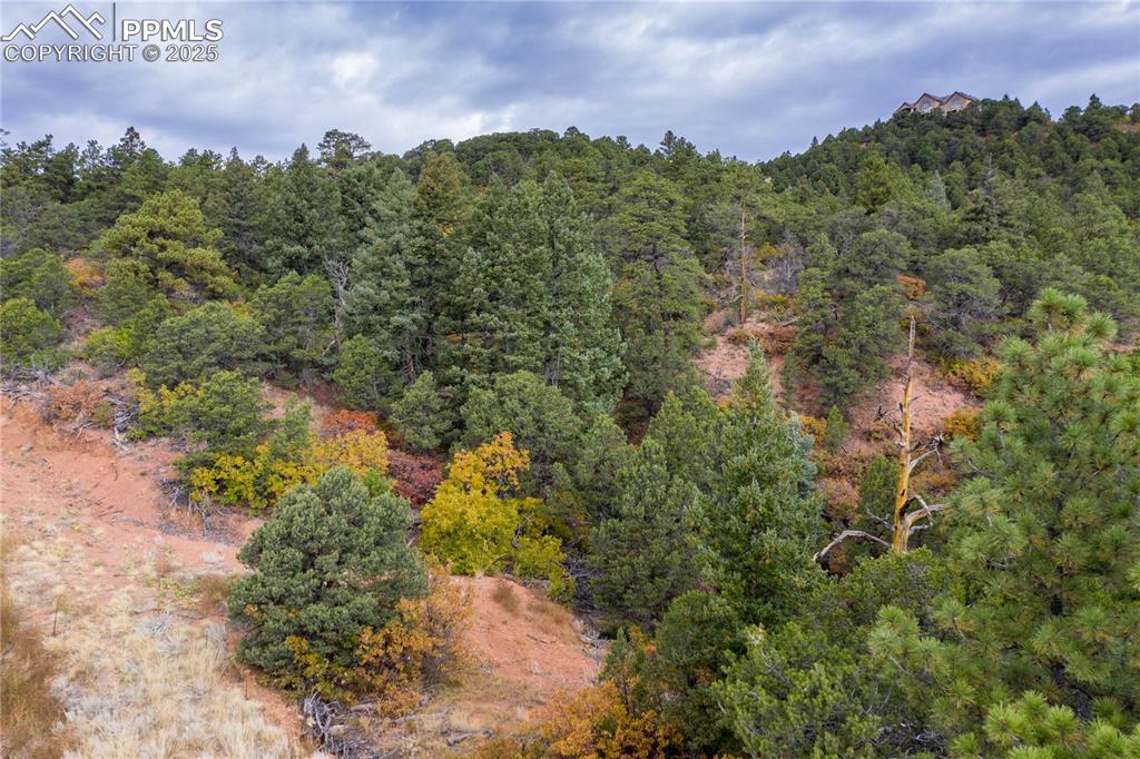 15825 Henry Ride Heights Colorado Springs, CO 80926 - Photo 15 of 23 a view of a city with lush green forest