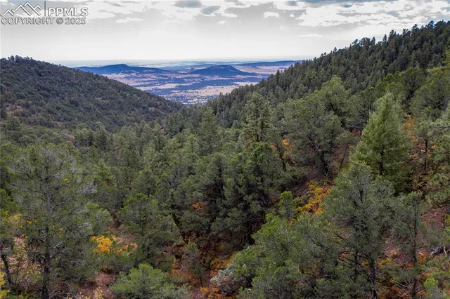 a view of a green field