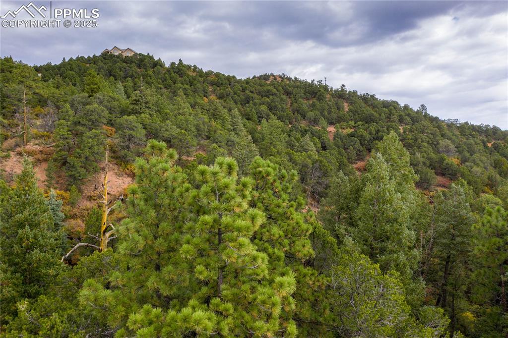 15825 Henry Ride Heights Colorado Springs, CO 80926 - Photo 19 of 23 a view of a bunch of trees and bushes
