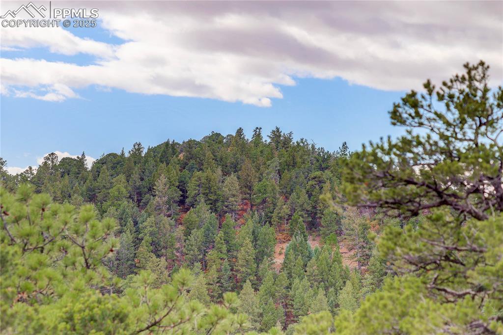15825 Henry Ride Heights Colorado Springs, CO 80926 - Photo 21 of 23 a view of a bunch of trees