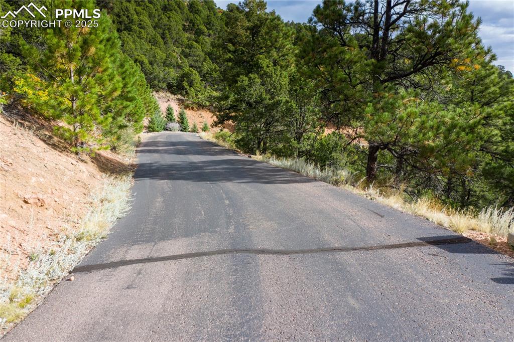 15825 Henry Ride Heights Colorado Springs, CO 80926 - Photo 3 of 23 a view of yard