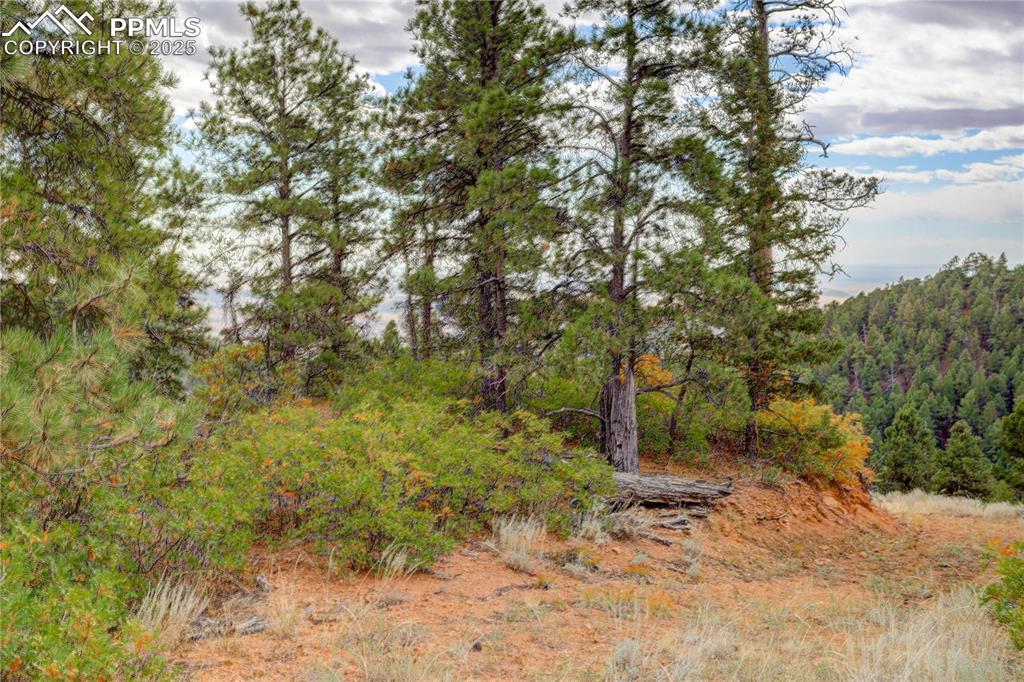 15825 Henry Ride Heights Colorado Springs, CO 80926 - Photo 6 of 23 a backyard of a house with lots of trees