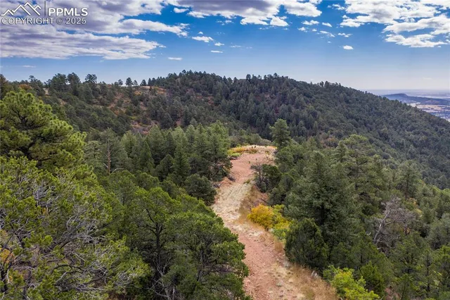 a view of a yard with a forest