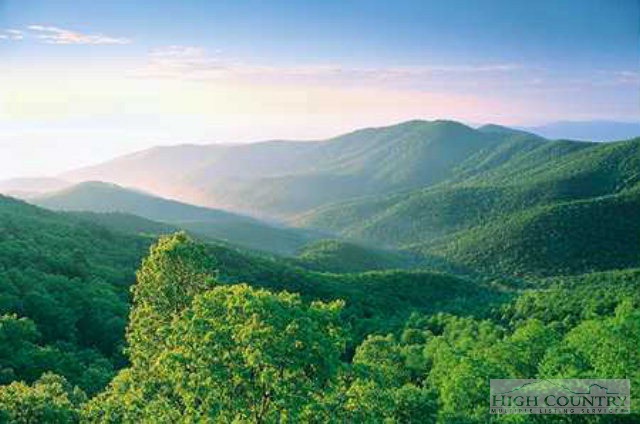 a view of a big yard with mountains in the background