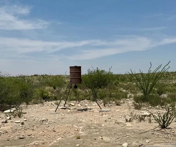 a view of a dry yard with a house