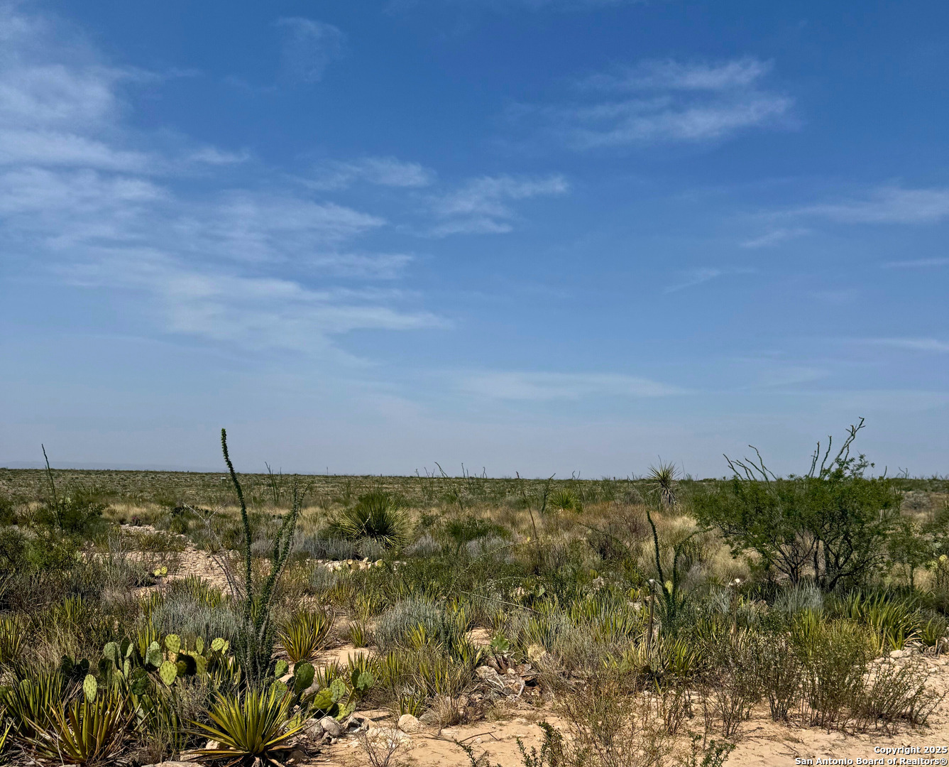Tbd Other Sanderson, TX 79848 - Photo 19 of 36 a view of a field