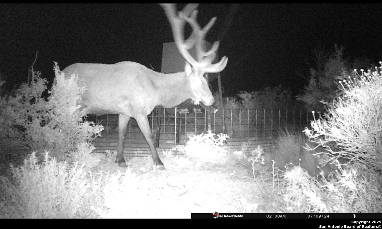 Tbd Other Sanderson, TX 79848 - Photo 26 of 36 a view of dining room with wooden floor