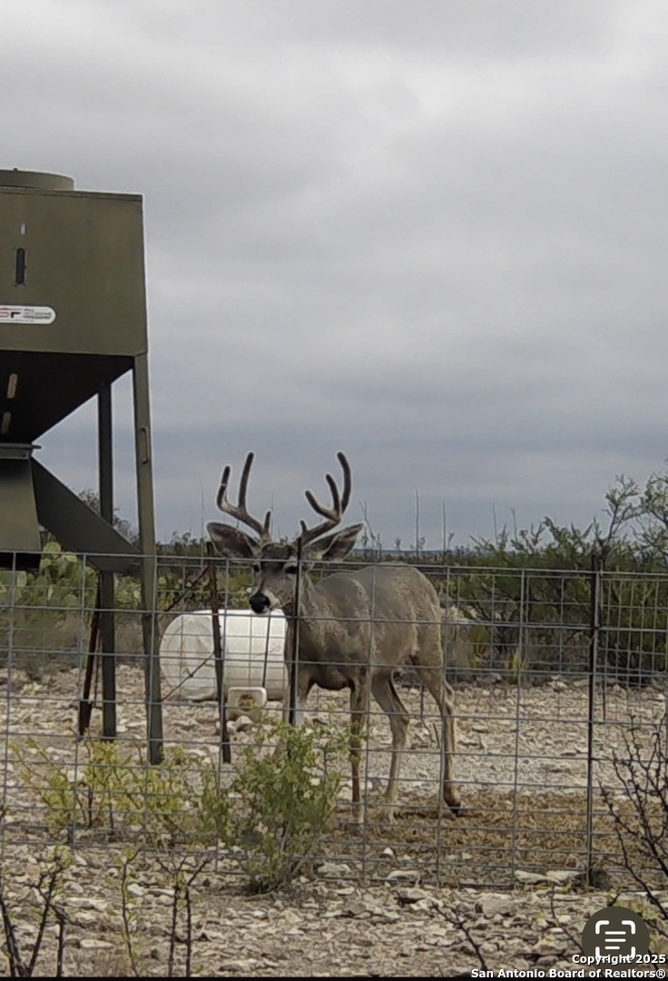 Tbd Other Sanderson, TX 79848 - Photo 28 of 36