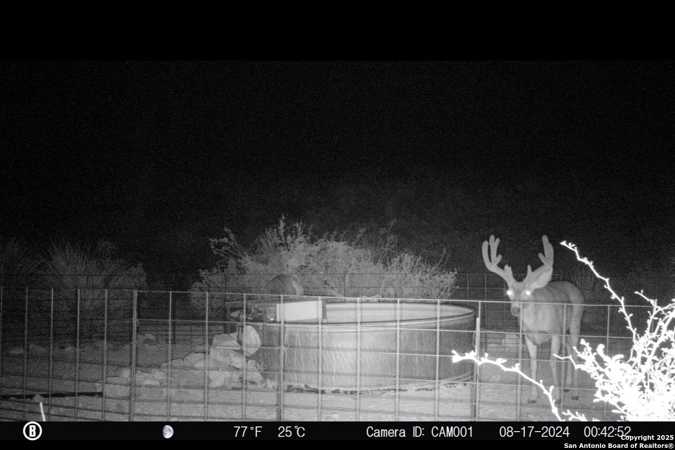 Tbd Other Sanderson, TX 79848 - Photo 29 of 36 a view of entryway
