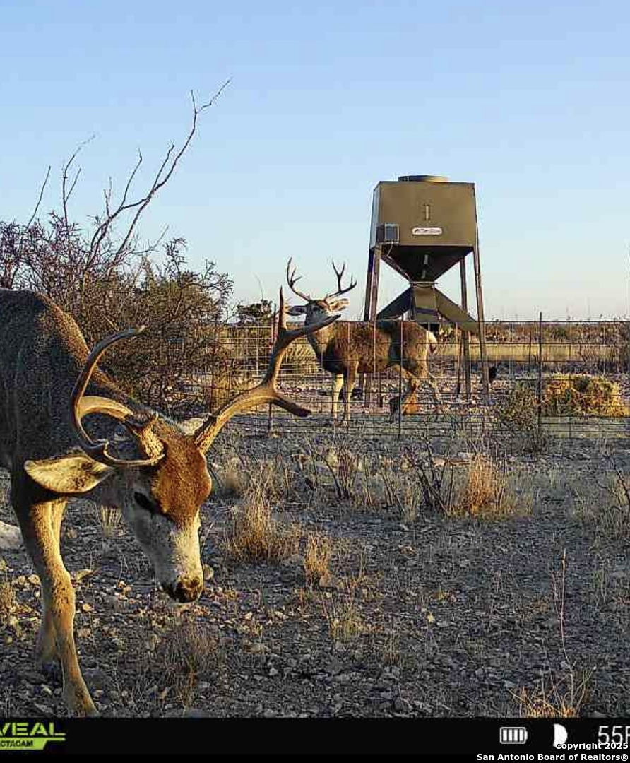 Tbd Other Sanderson, TX 79848 - Photo 30 of 36 a view of a outdoor space