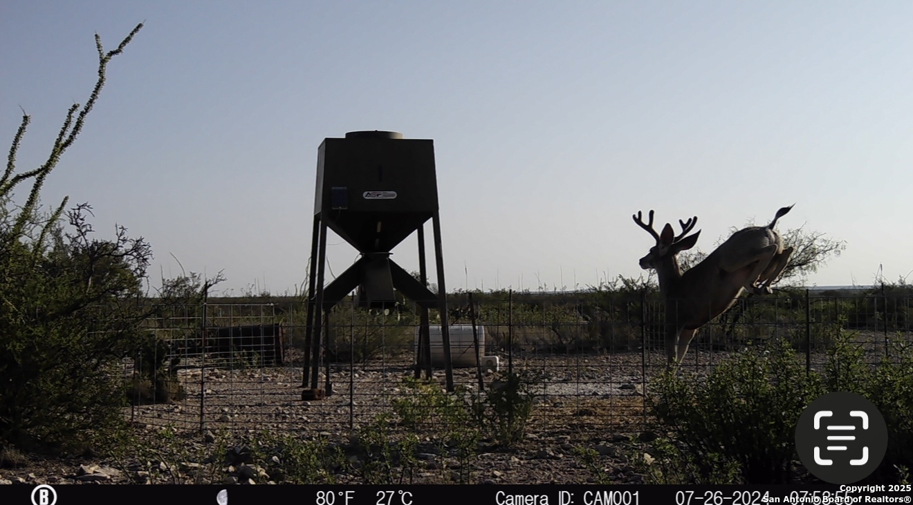 Tbd Other Sanderson, TX 79848 - Photo 31 of 36